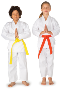 kidsMartialArts_cutout
